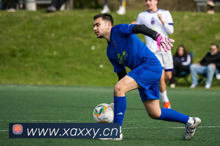 App Interface Preview